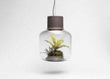 Self-sustaining-eco-system-inside-the-pendant-light-allows-the-plants-to-grow-unattended-47457-217x155
