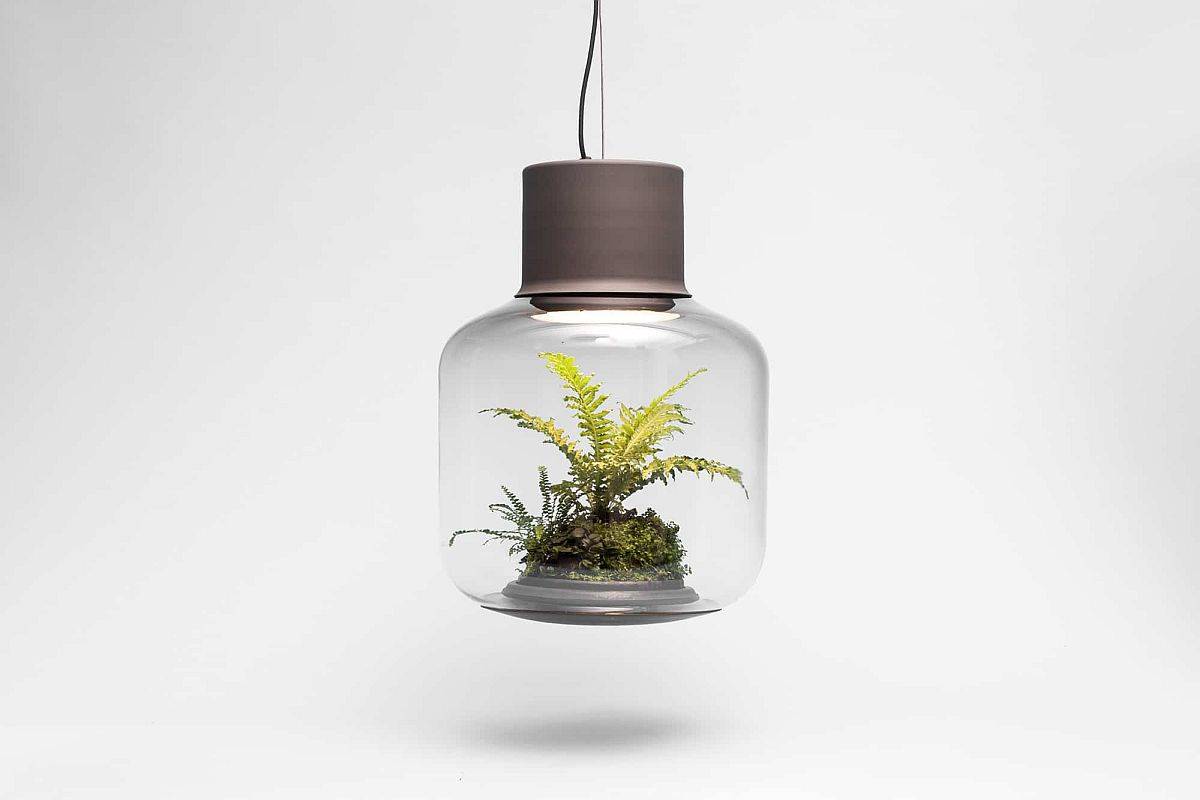 Self-sustaining-eco-system-inside-the-pendant-light-allows-the-plants-to-grow-unattended-47457