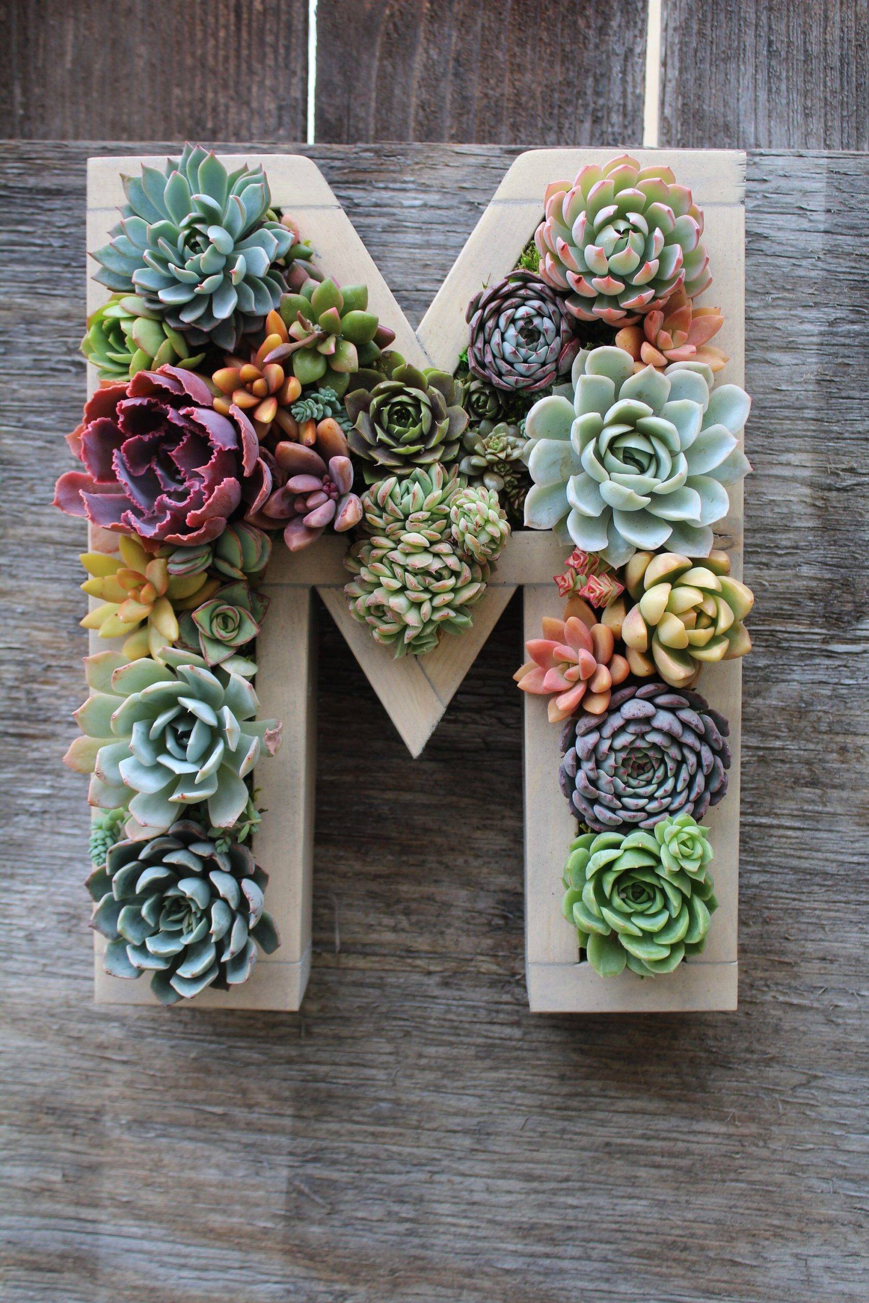 Succulent Letter Display