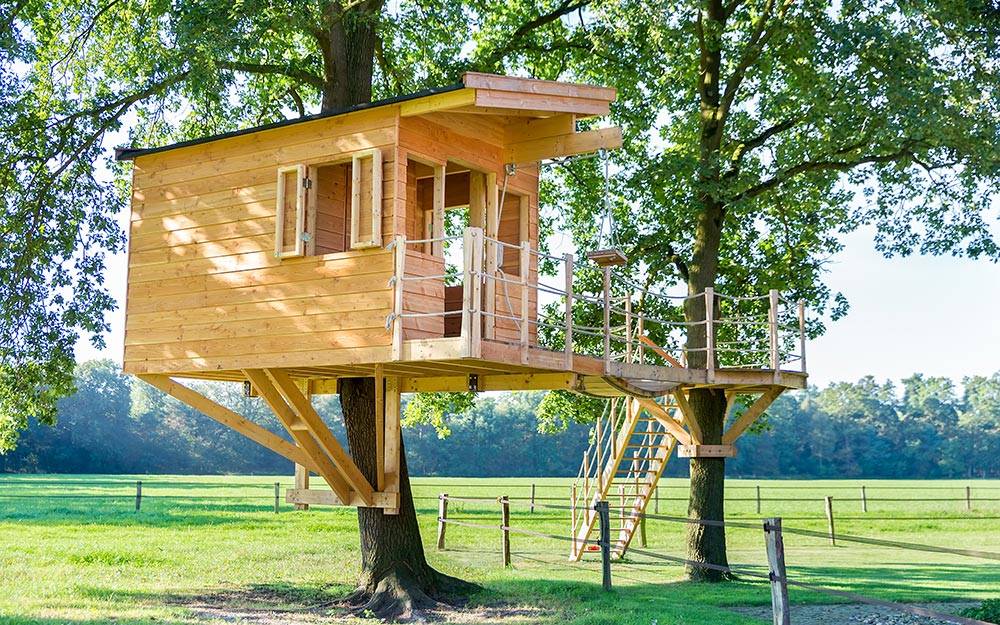 Treehouse supported by two huge trees