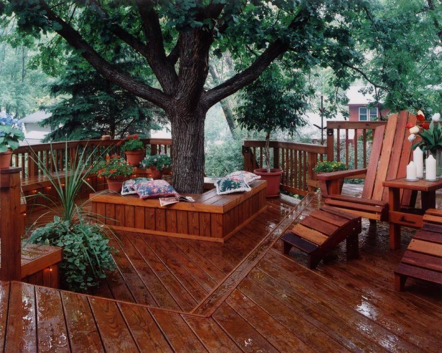 Trees in the Deck