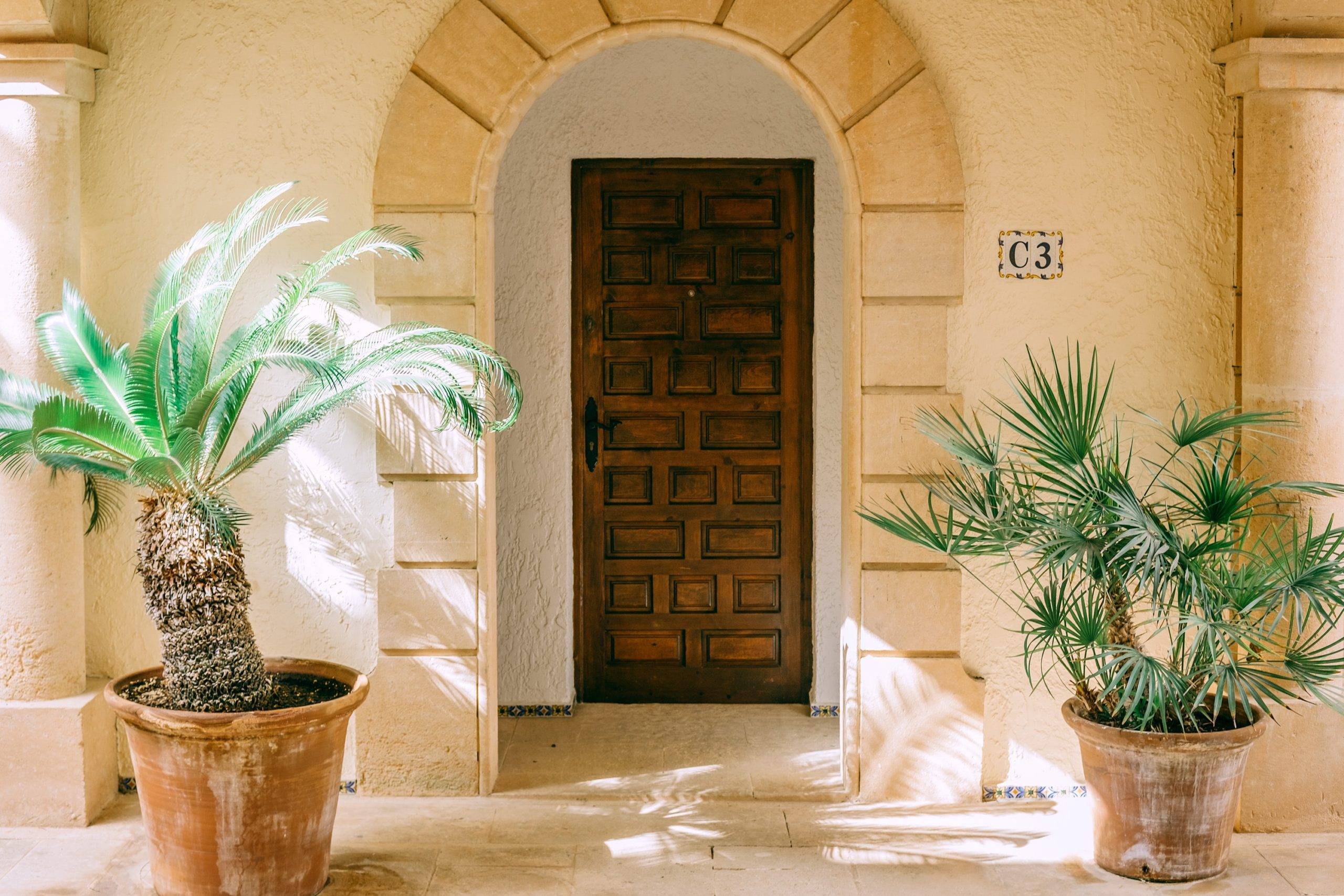 Two large potted plants beside archway door