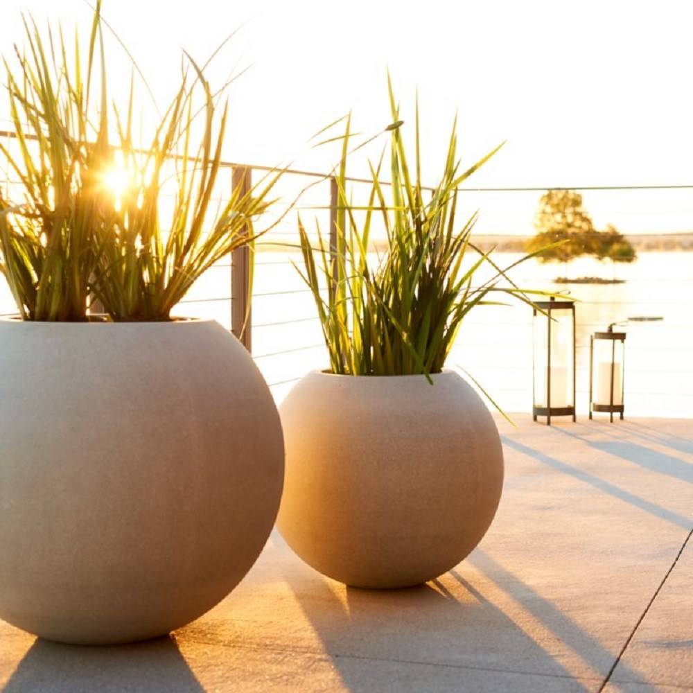 Two large sphere pots with green plants