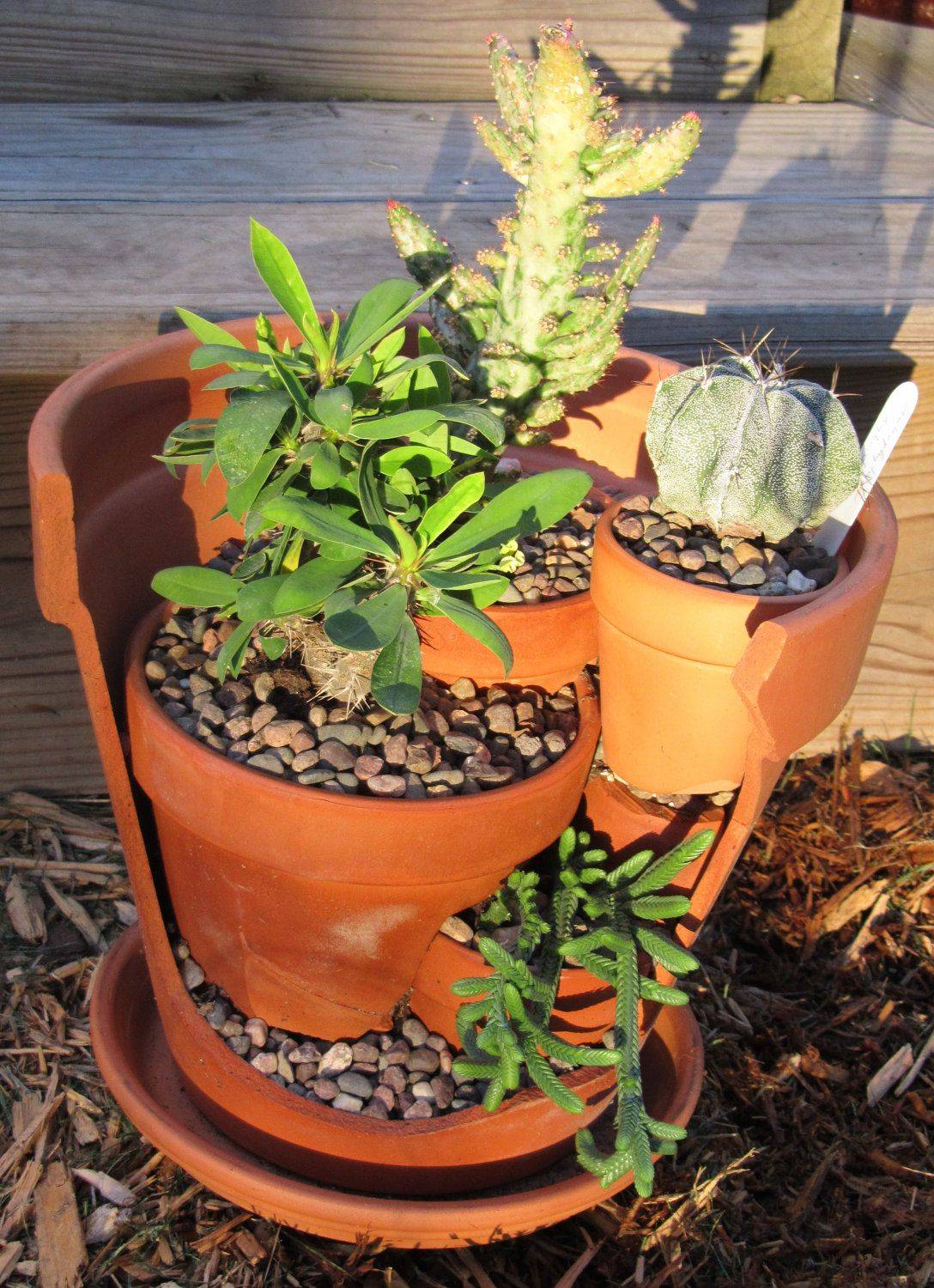 Upcycled Broken Pot