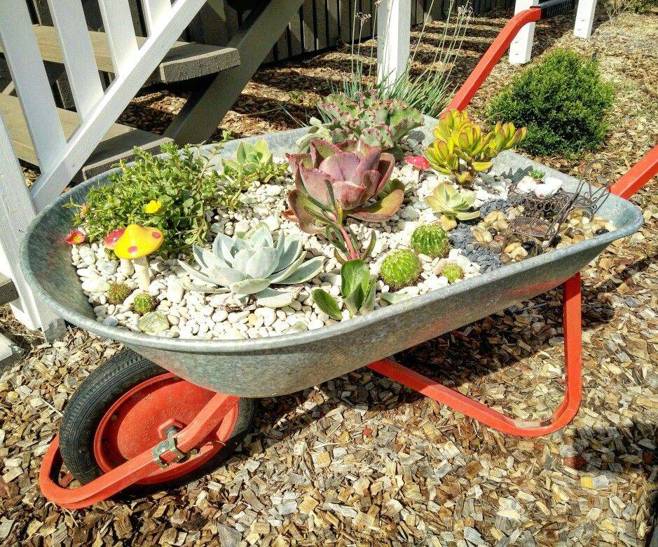 Wheelbarrow Garden