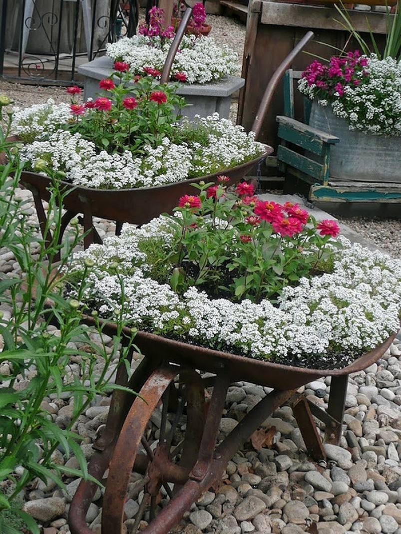 Wheelbarrow with pink and white flowers