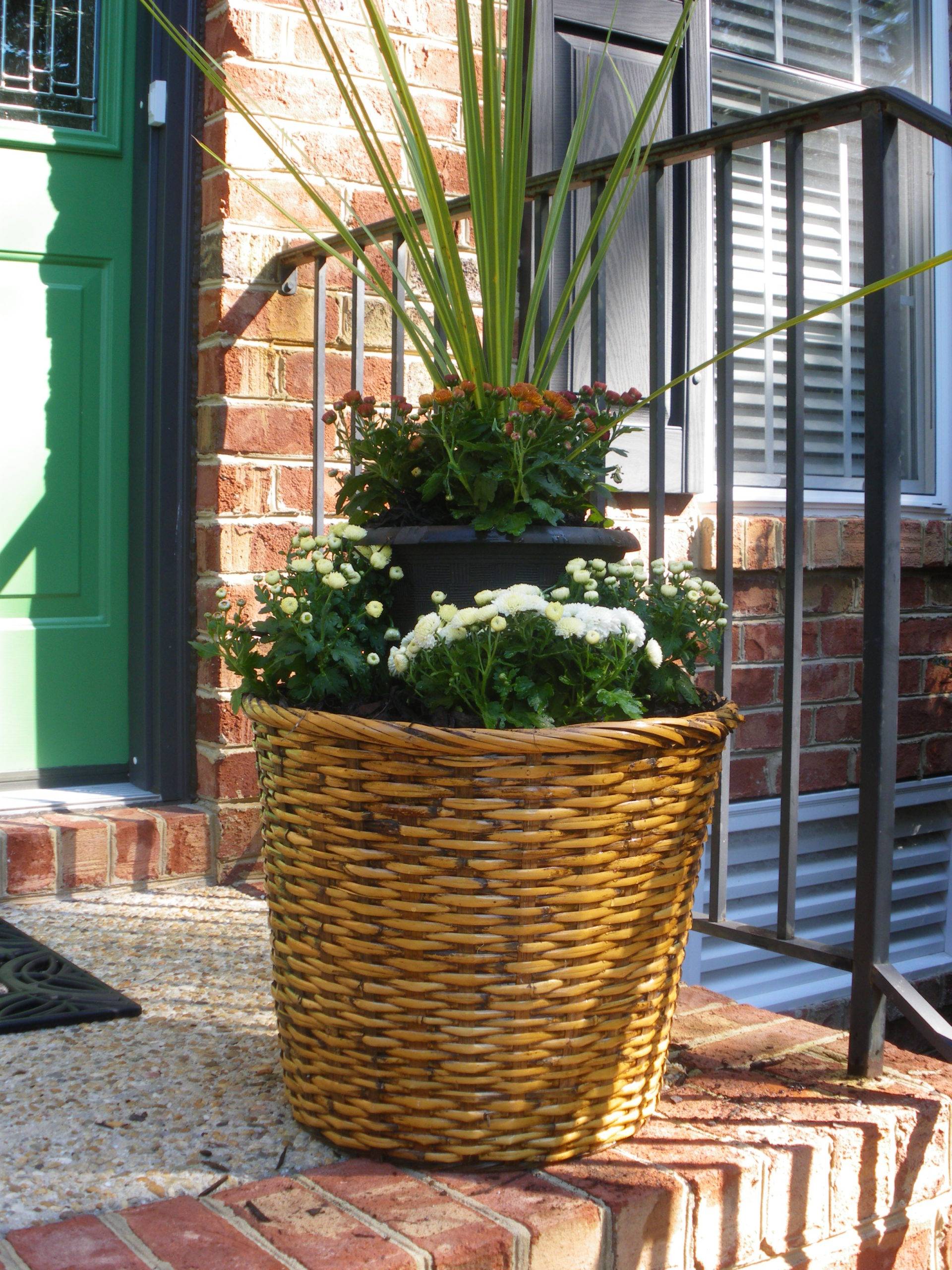 Wicker Basket Flower Pot