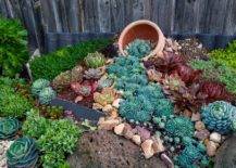 "tipped over" pot with garden of succulents leading away