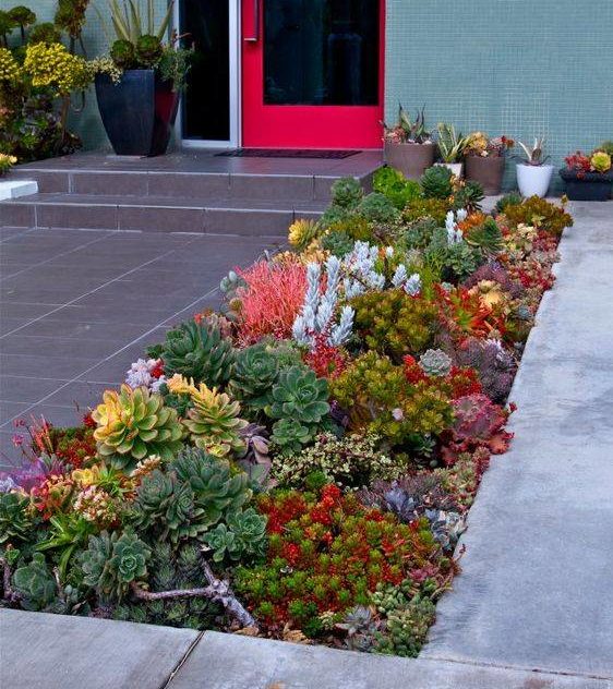 succulent house border at front entrance near red door