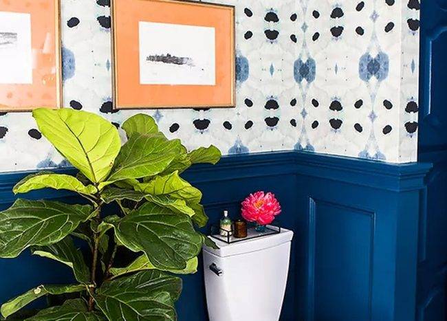 Huge plant beside toilet in blue-walled bathroom