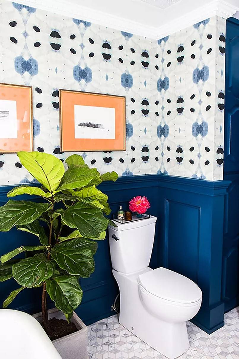 Huge plant beside toilet in blue-walled bathroom