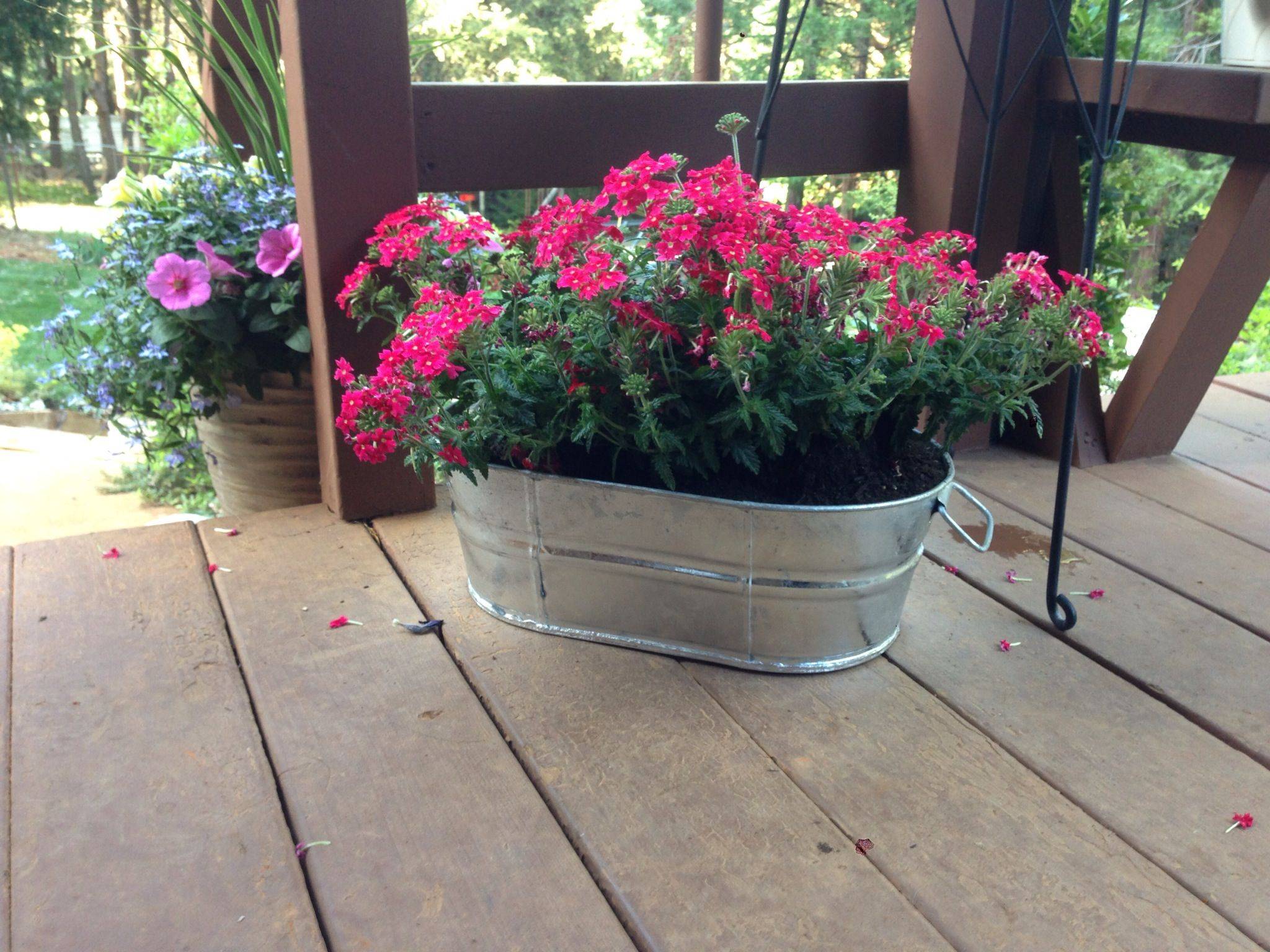 Repurposed Metal Bucket Flower Pot