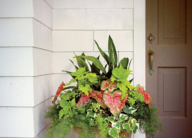 Rustic Farmhouse Porch Decor for an Inviting Entrance | Decoist