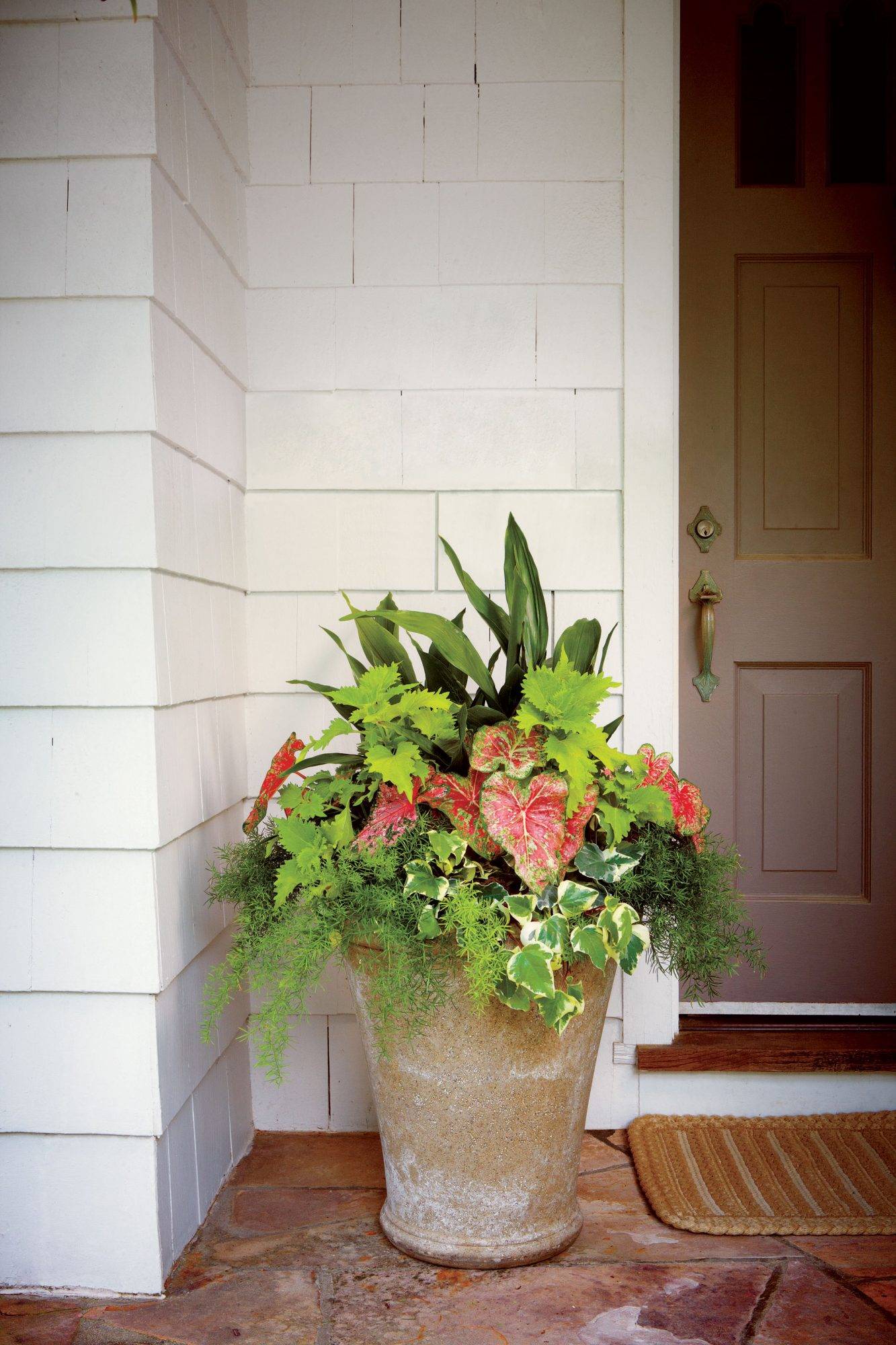 Rustic Plant Pot