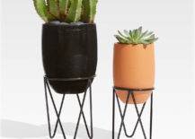 Succulents in black and brown pots