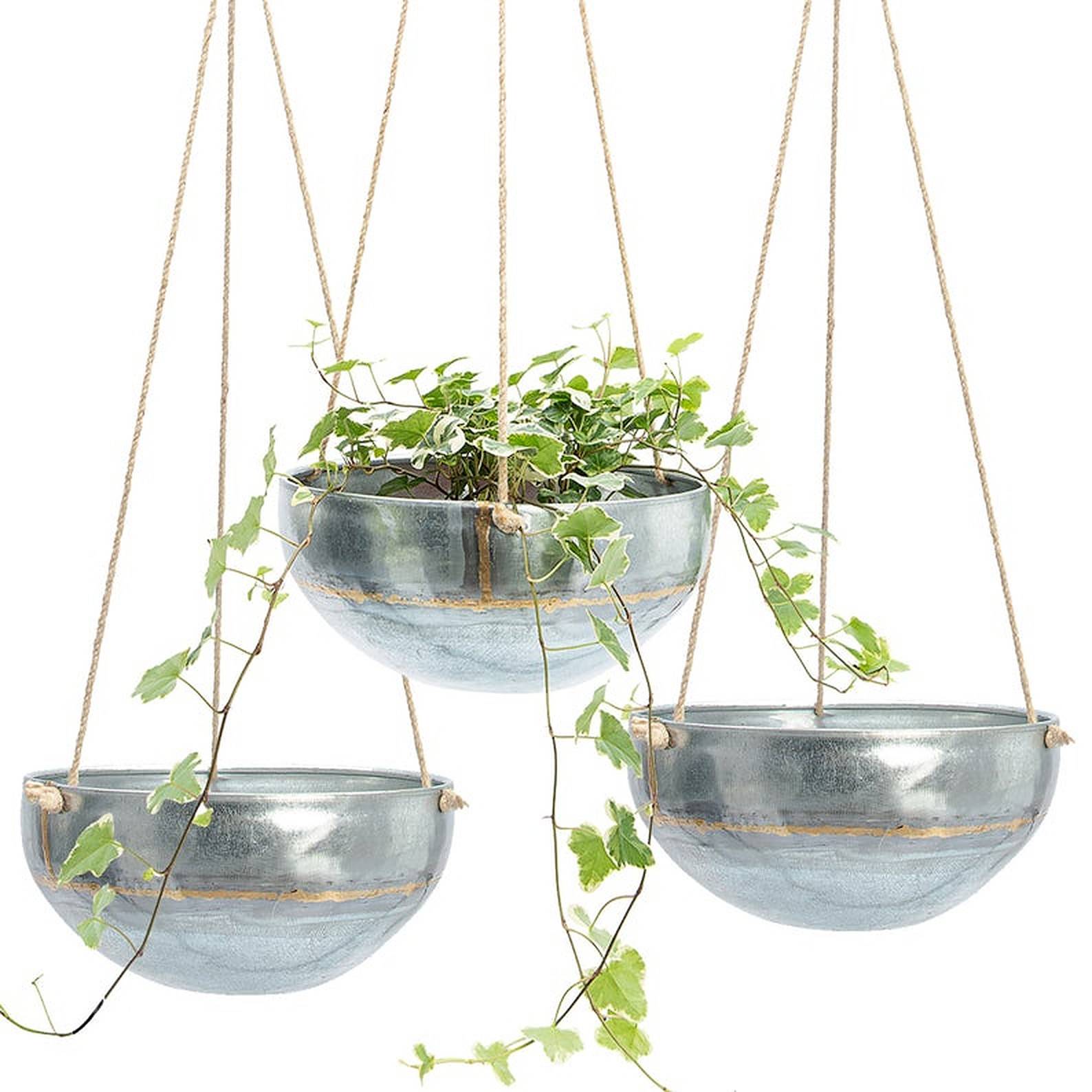 Three hanging planters with green plants