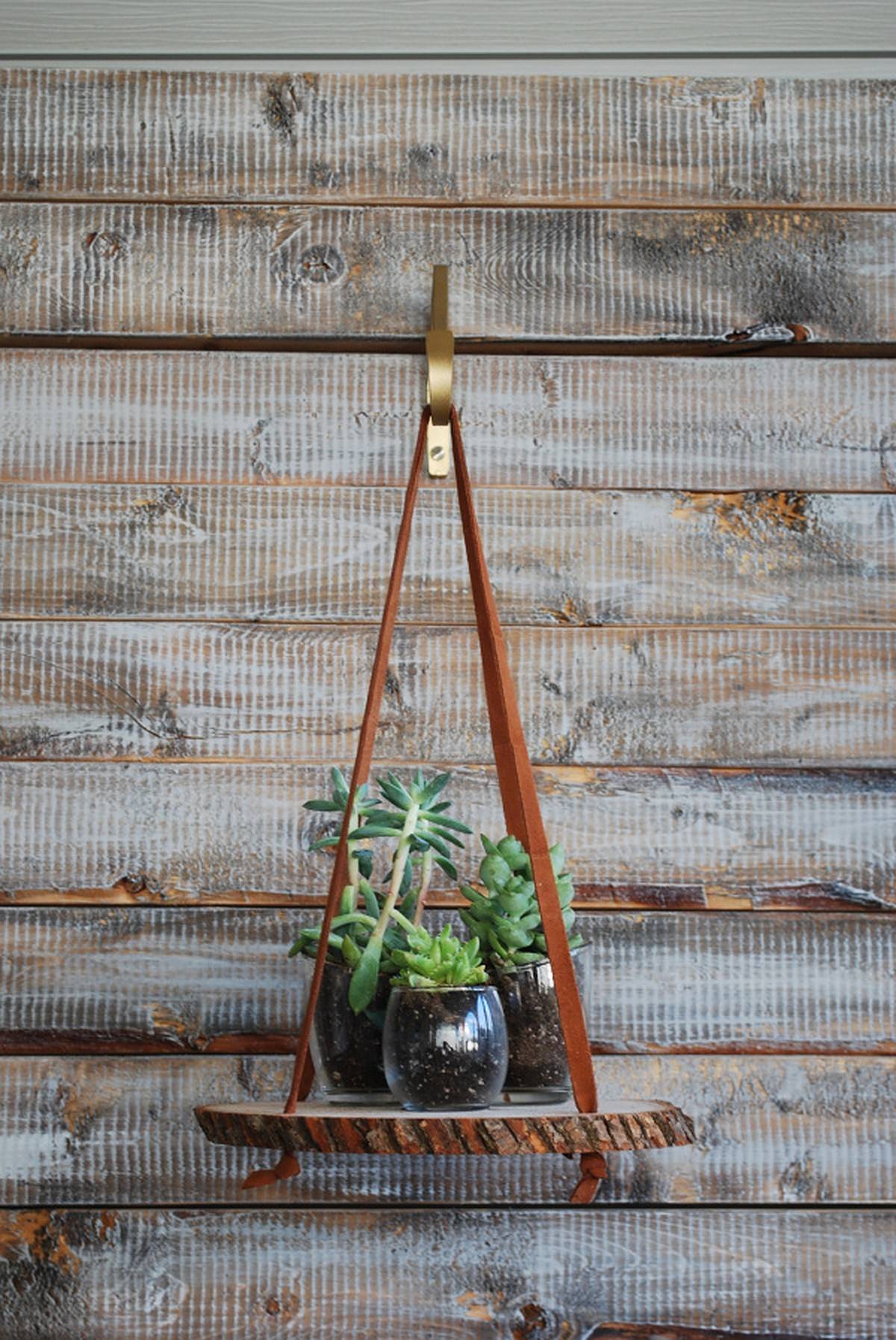 Three potted plants in glass hanging on wood slice