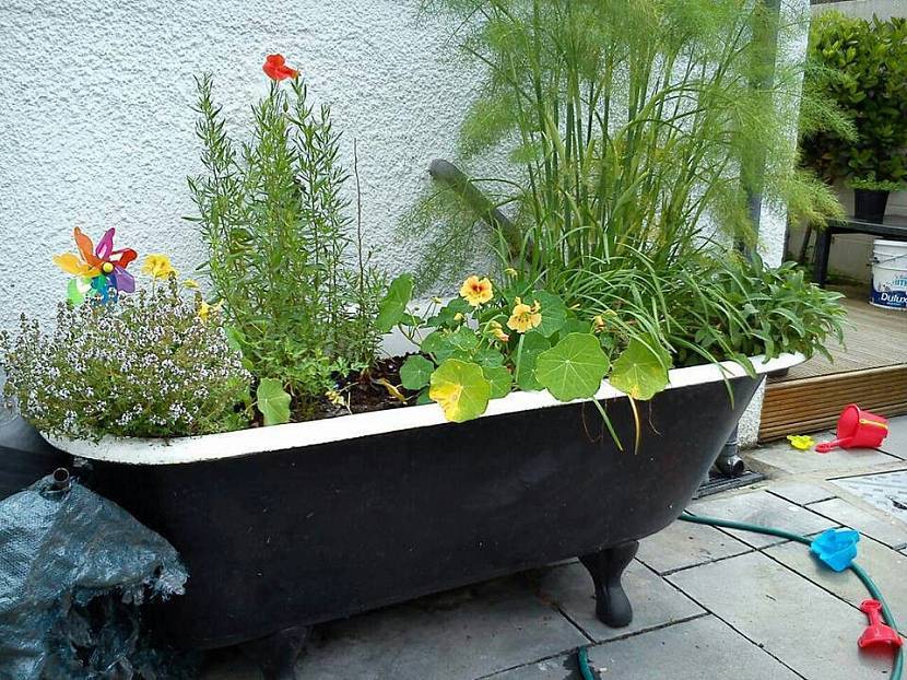 Bathtub and Sink planter