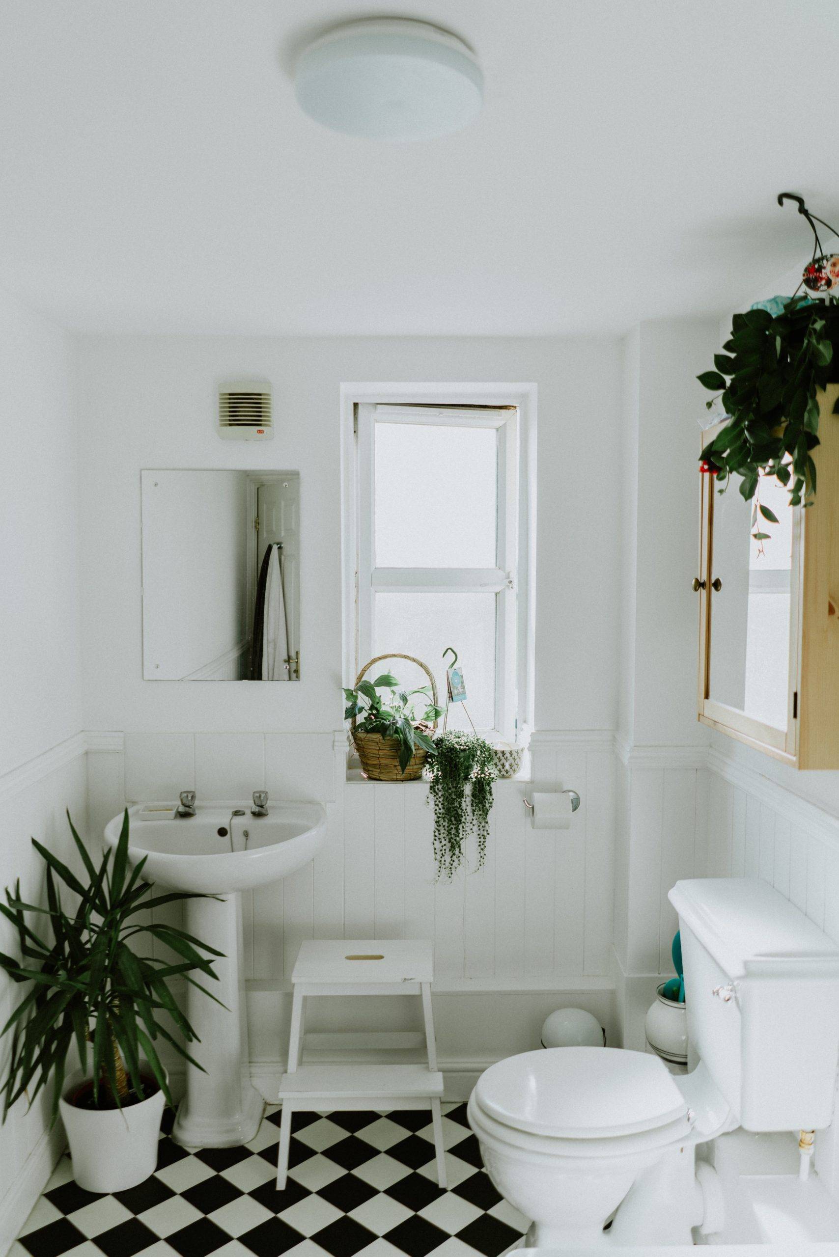 Kamar mandi hitam putih dengan tanaman hijau