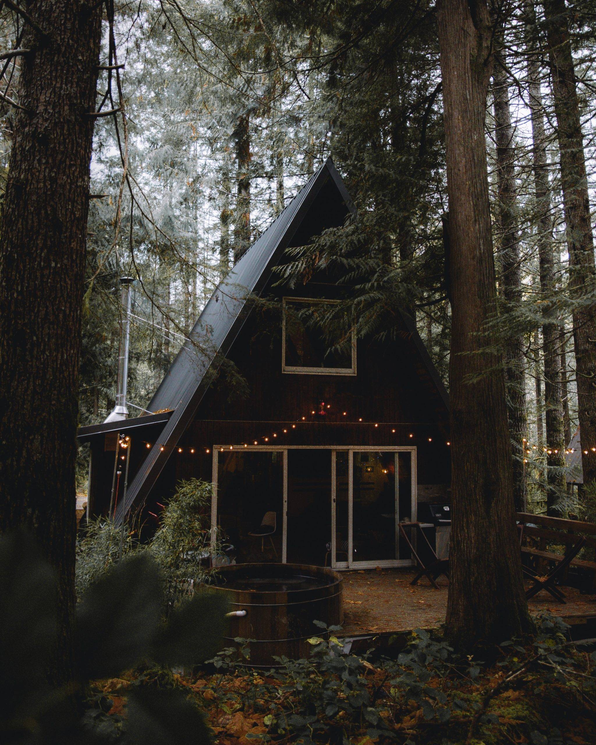 Black house hidden among tall trees