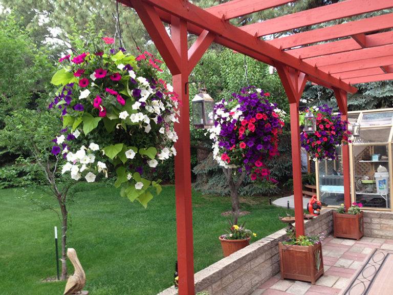 15 Ide Desain pergola yang indah untuk taman Anda Minimalis123