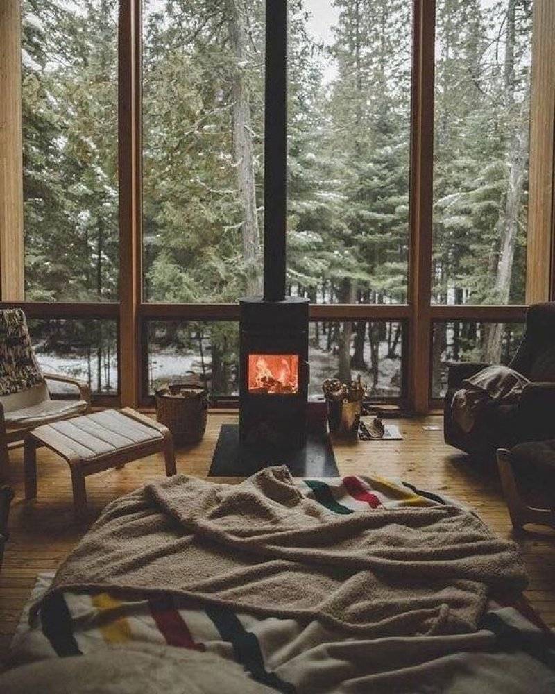 Forest View in a Cabin with Floor to Ceiling Windows