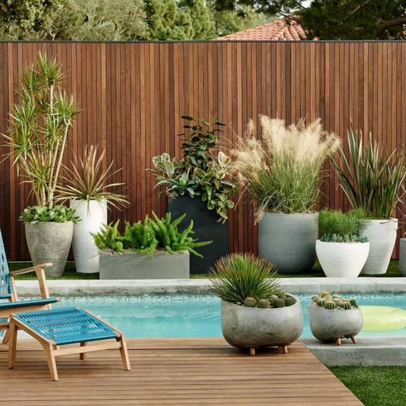 multiple planters around pool