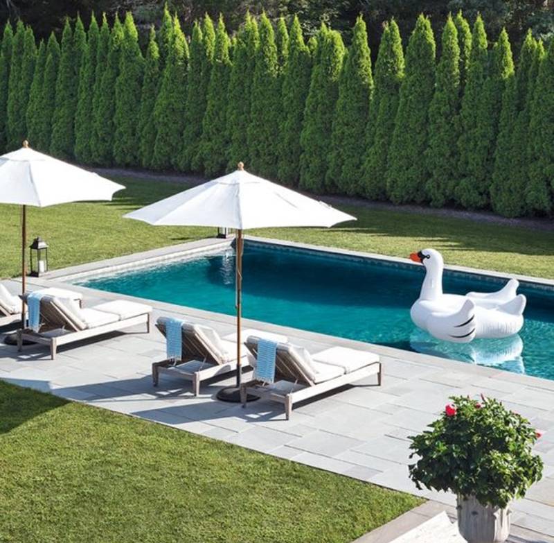 swan floating in pool next to patio furniture with shade umbrellas