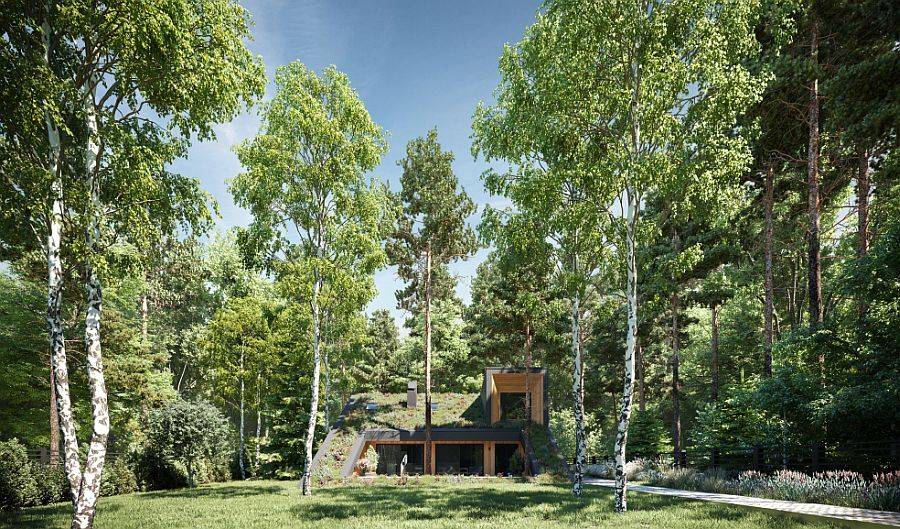 Live roof of the green home allows it to blend in with the landscape