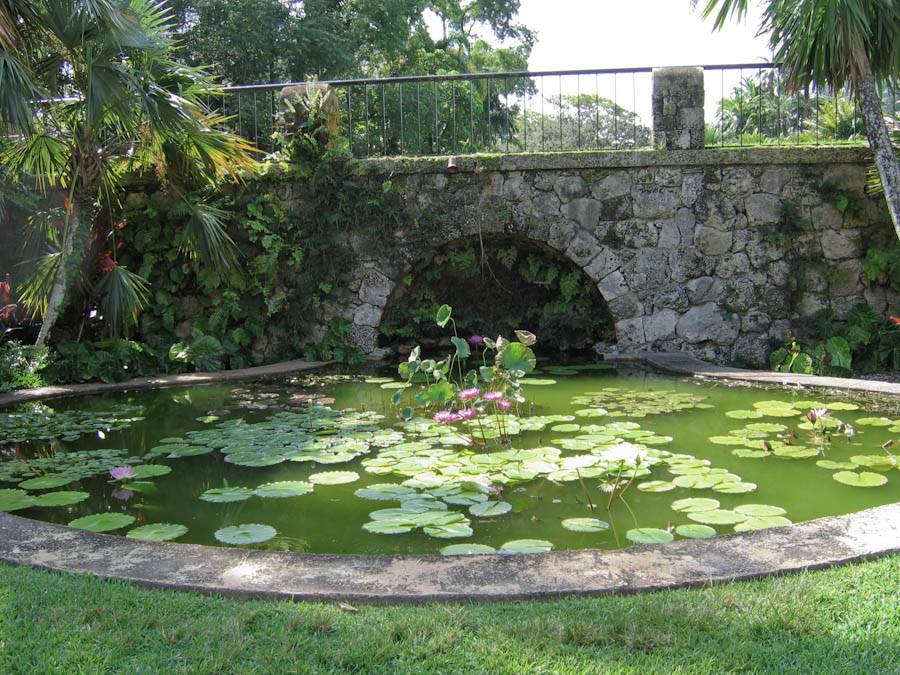 Kolam teratai