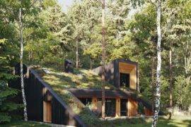 Green Wonder Home with a Live Roof: Energy-Efficient, Eco-Friendly Dwelling