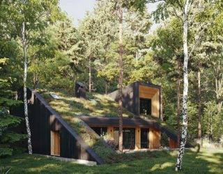 Green Wonder Home with a Live Roof: Energy-Efficient, Eco-Friendly Dwelling