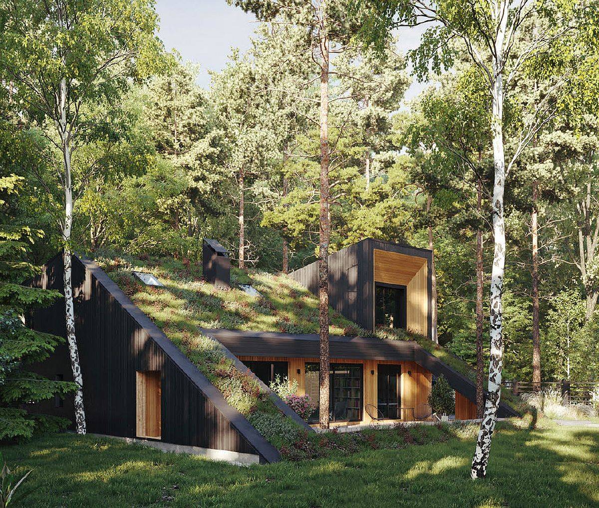 Modern, energy-efficient Hill House in Russia with a green roof that comes alive