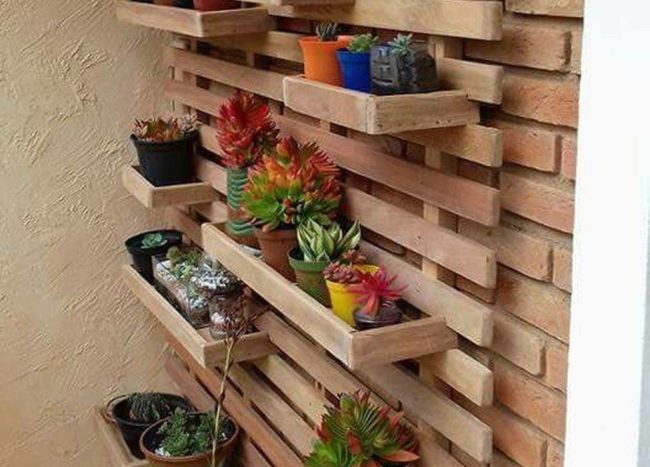 vertical hanging garden against wooden slat