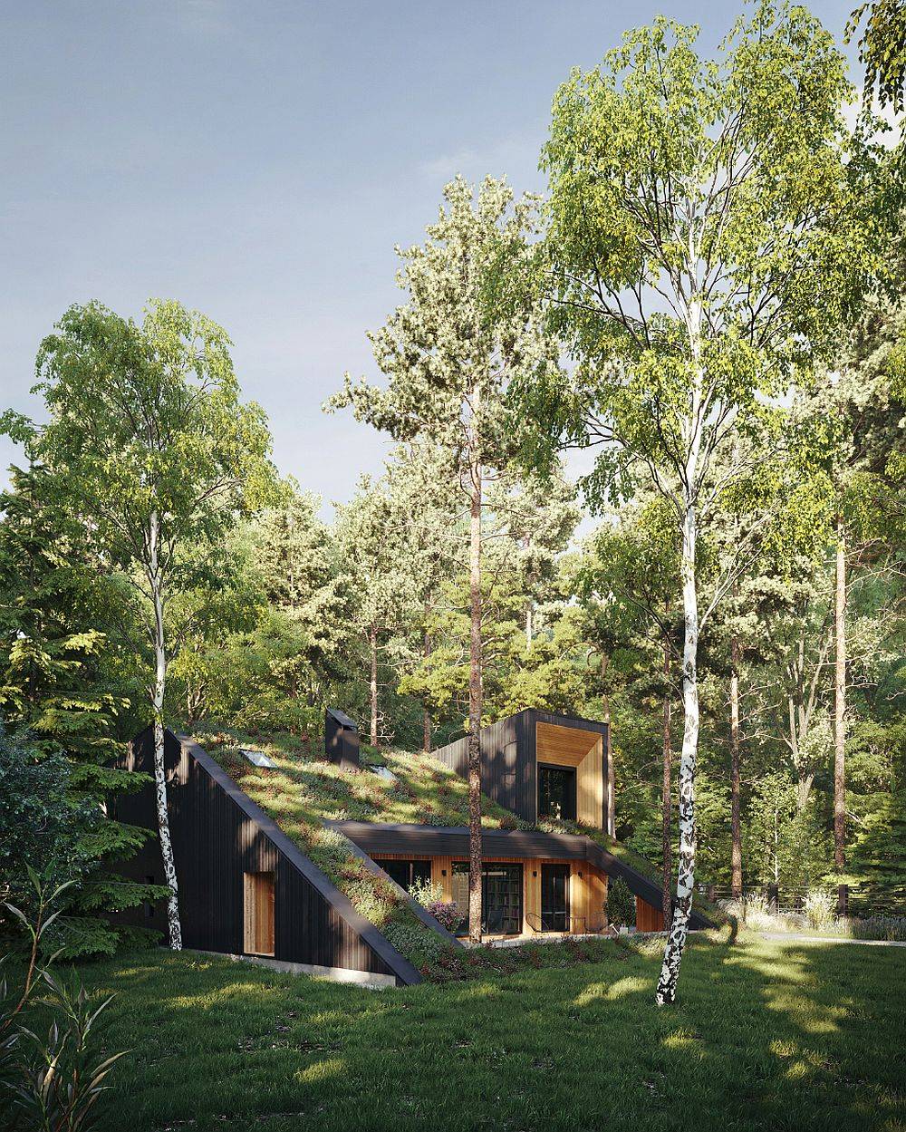 Tall trees around the green home add an additional layer of cover and improve passive heating and cooling