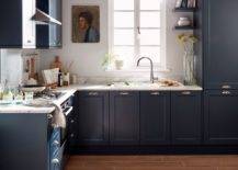 dark black/blue cabinets in kitchen