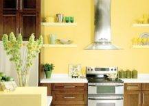canary yellow paint in kitchen with dark cupboards