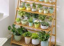 bamboo hanging plant stand with rows of succulents and plants