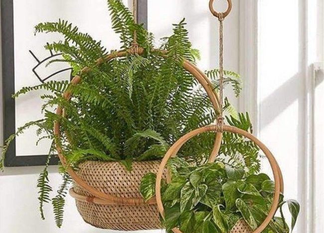 wicker basket hanging planters
