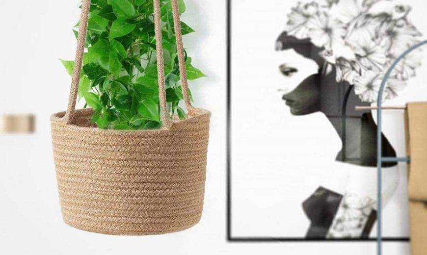 13 Hanging Planter Ideas To Bring Beauty To Any Space