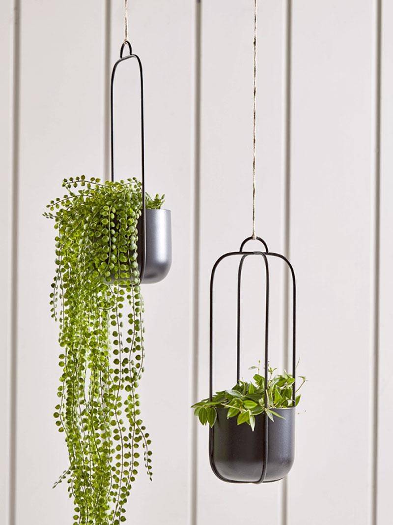 hanging planters with trailing plants