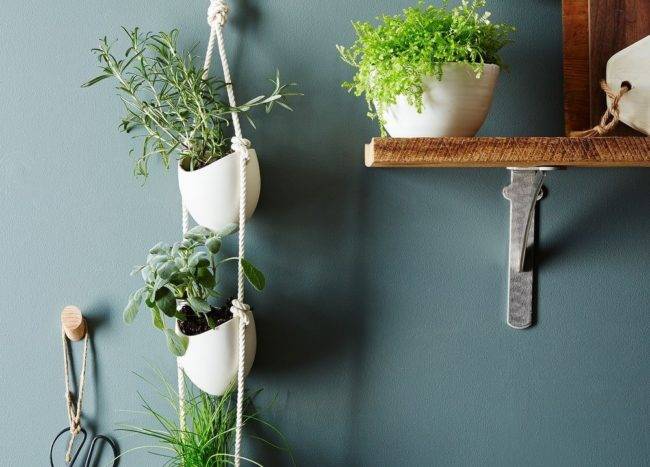 three-tiered white hanging planters against teal wall