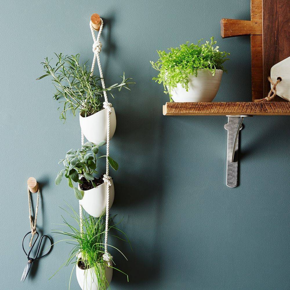 three-tiered white hanging planters against teal wall
