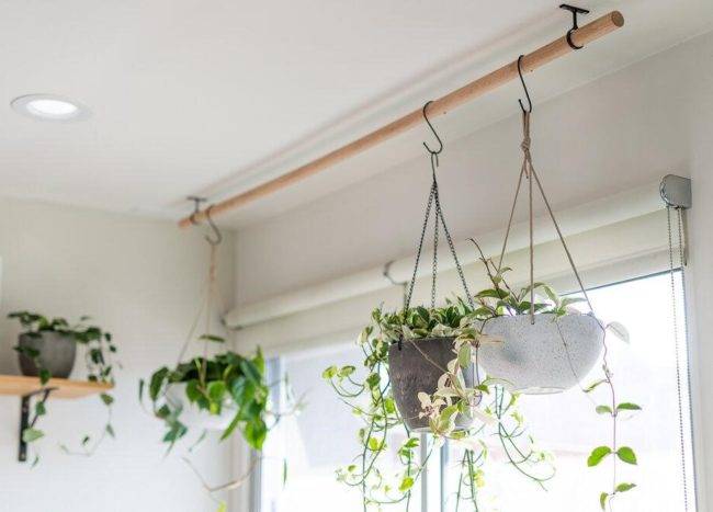 grey and black hanging planters