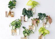 13 Hanging Planter Ideas To Bring Beauty To Any Space
