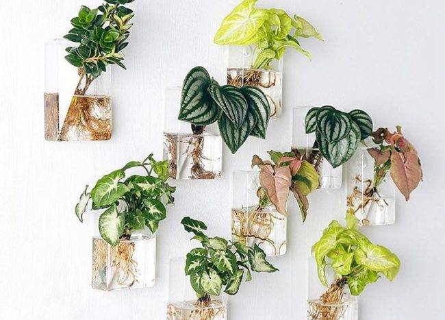 assortment of hanging glass planters