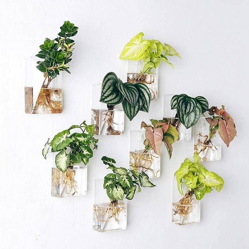 assortment of hanging glass planters 