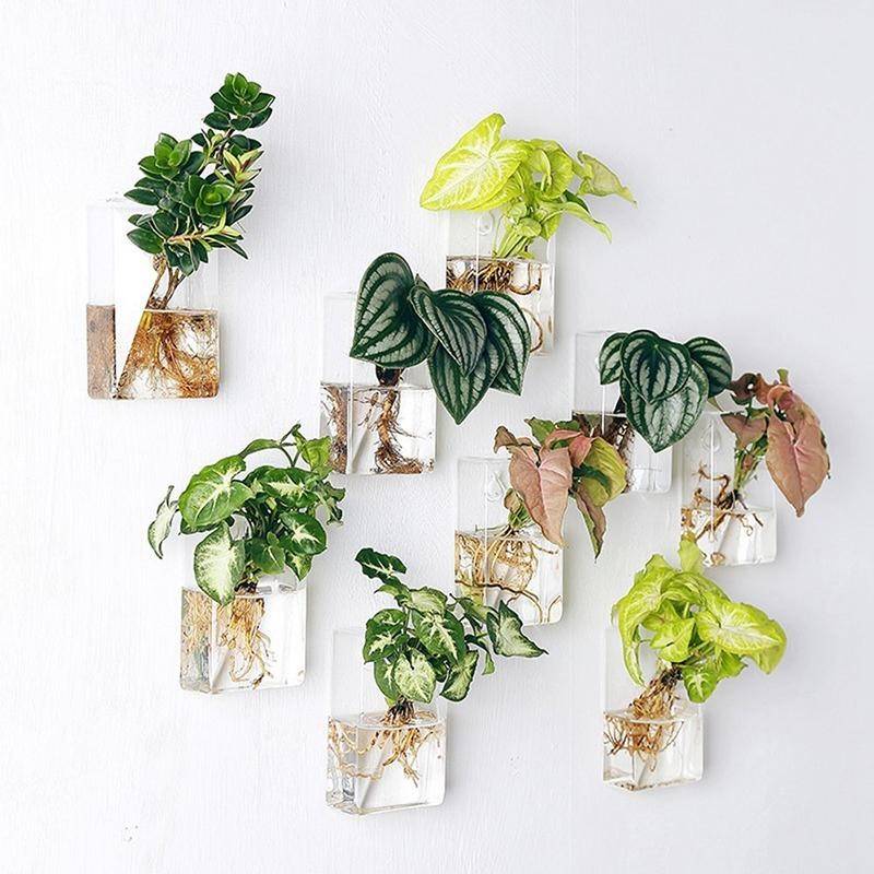 assortment of hanging glass planters