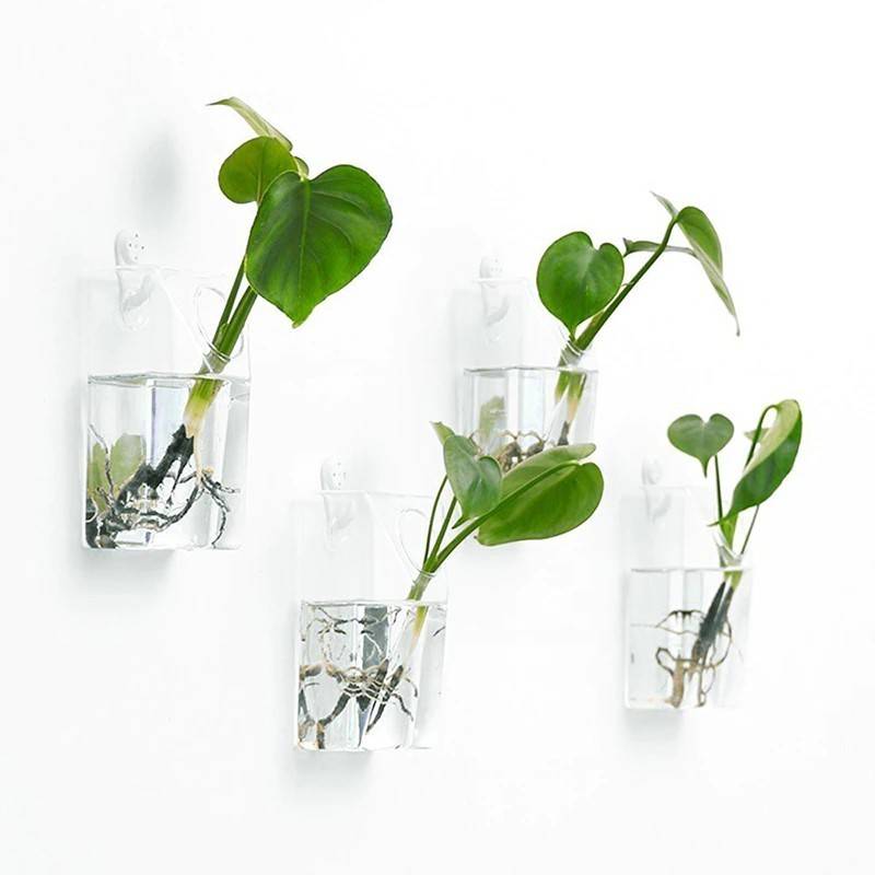 glass box wall planters