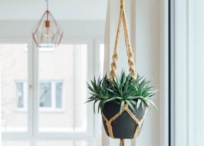 black planter with macrame hanging